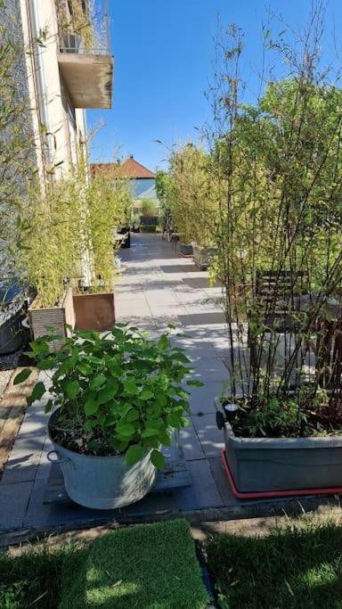 Gite La Passerelle Apartamento Ostheim Exterior foto